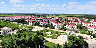 甘南县互联网+农业